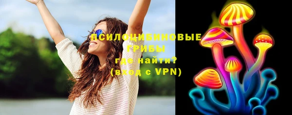 прущий лед Богородицк