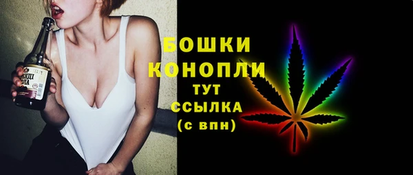 прущий лед Богородицк