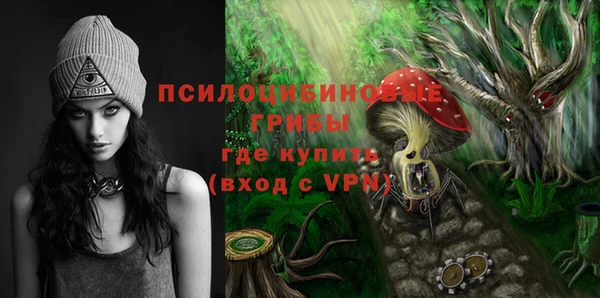 прущий лед Богородицк